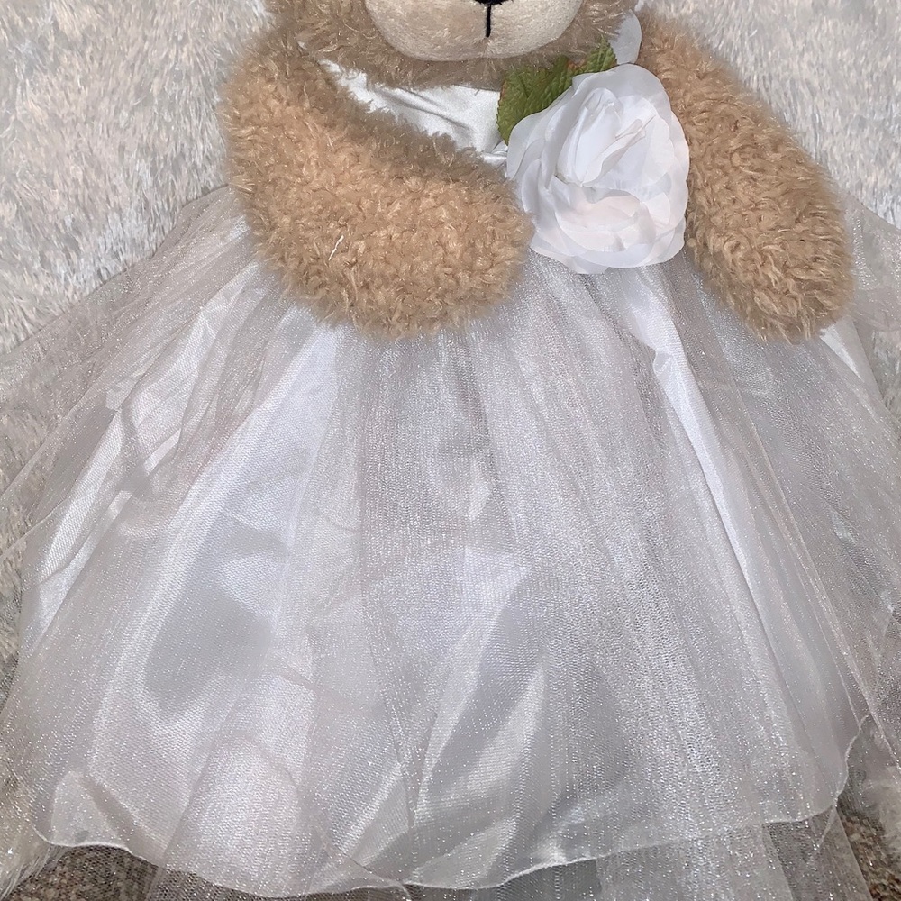 NWT FLOWER GIRL-CHRISTENING DRESS